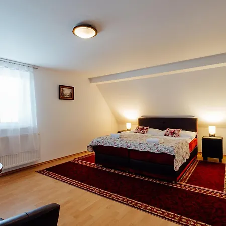 熊猫2号旅馆 Turčianske Teplice